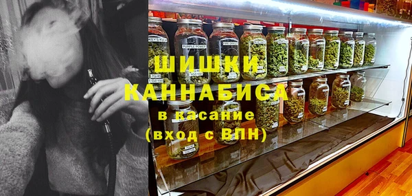 молекула духа Белоозёрский
