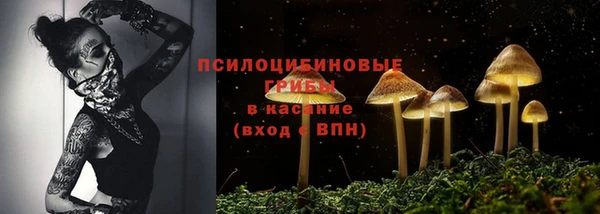 метамфетамин Белокуриха