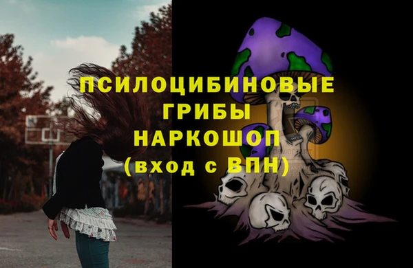 молекула духа Белоозёрский