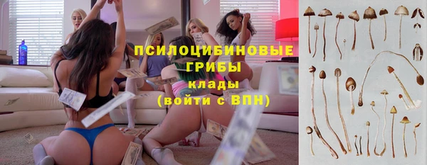 молекула духа Белоозёрский
